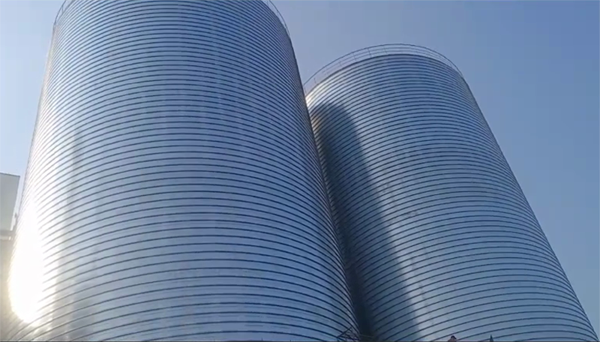 泗县2座混凝土高架卷板仓